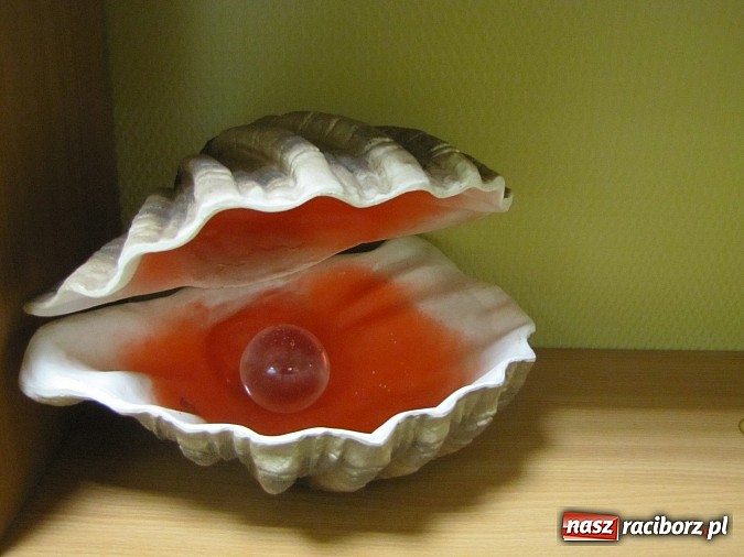 Zdjęcie w galerii na portalu naszraciborz.pl: Piękna sylwetka i wyjątkowy relaks w Studio Infinity wiadomości z regionu