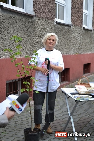 Zdjęcie w galerii na portalu naszraciborz.pl: Idą szlakiem Sobieskiego i sadzą lipy wiadomości z regionu