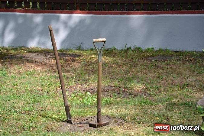 Zdjęcie w galerii na portalu naszraciborz.pl: Idą szlakiem Sobieskiego i sadzą lipy wiadomości z regionu