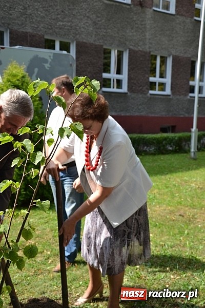 Zdjęcie w galerii na portalu naszraciborz.pl: Idą szlakiem Sobieskiego i sadzą lipy wiadomości z regionu