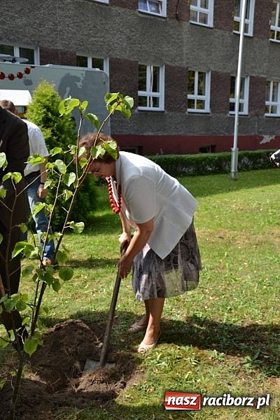 Zdjęcie w galerii na portalu naszraciborz.pl: Idą szlakiem Sobieskiego i sadzą lipy wiadomości z regionu