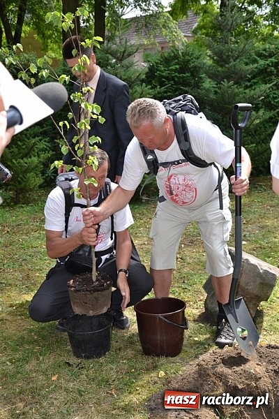 Zdjęcie w galerii na portalu naszraciborz.pl: Idą szlakiem Sobieskiego i sadzą lipy wiadomości z regionu