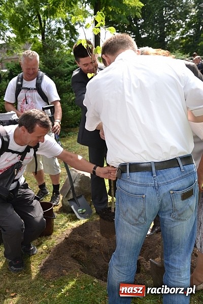 Zdjęcie w galerii na portalu naszraciborz.pl: Idą szlakiem Sobieskiego i sadzą lipy wiadomości z regionu