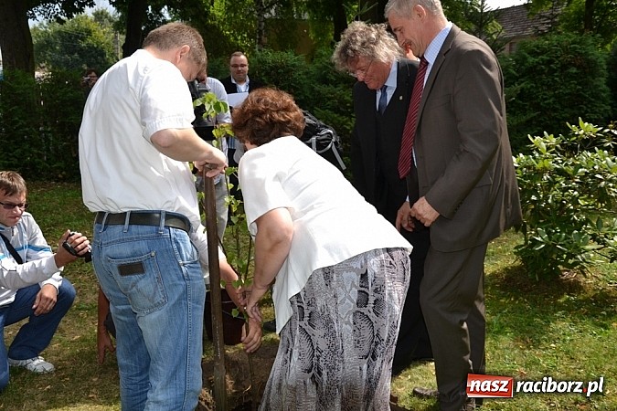 Zdjęcie w galerii na portalu naszraciborz.pl: Idą szlakiem Sobieskiego i sadzą lipy wiadomości z regionu