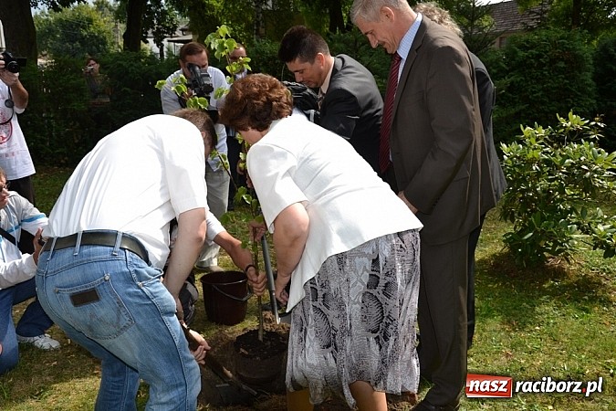 Zdjęcie w galerii na portalu naszraciborz.pl: Idą szlakiem Sobieskiego i sadzą lipy wiadomości z regionu