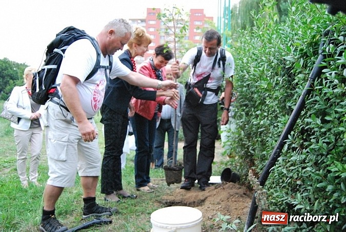 Zdjęcie w galerii na portalu naszraciborz.pl: Skromne sadzenie lipy przy SP 15 wiadomości z regionu