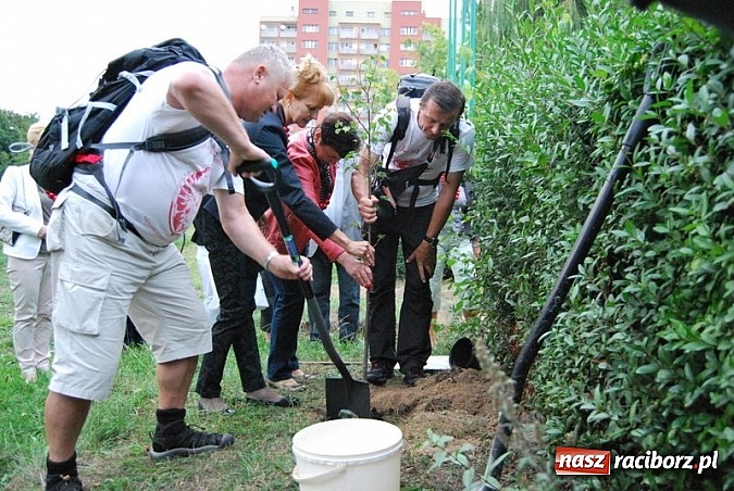 Zdjęcie w galerii na portalu naszraciborz.pl: Skromne sadzenie lipy przy SP 15 wiadomości z regionu