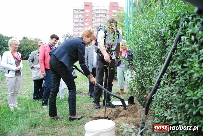 Zdjęcie w galerii na portalu naszraciborz.pl: Skromne sadzenie lipy przy SP 15 wiadomości z regionu