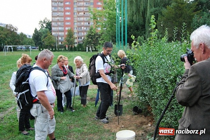 Zdjęcie w galerii na portalu naszraciborz.pl: Skromne sadzenie lipy przy SP 15 wiadomości z regionu