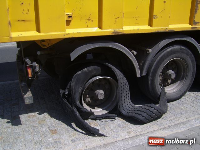 Zdjęcie w galerii na portalu naszraciborz.pl: Platfus na nerce wiadomości z regionu