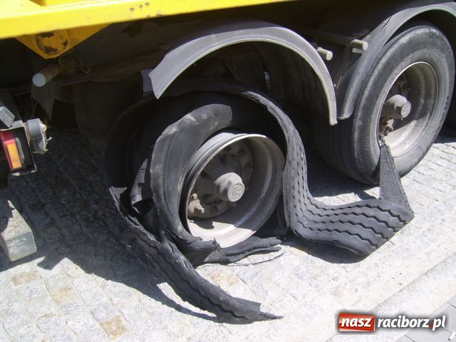 Zdjęcie w galerii na portalu naszraciborz.pl: Platfus na nerce wiadomości z regionu