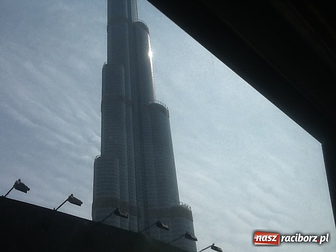 Zdjęcie w galerii na portalu naszraciborz.pl: Pływanie. Tokarski z kolejnym rekordem wiadomości z regionu