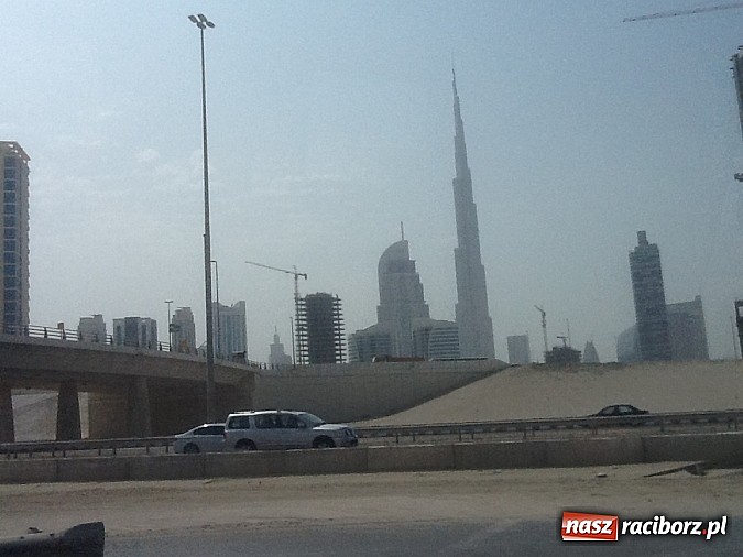 Zdjęcie w galerii na portalu naszraciborz.pl: Pływanie. Tokarski z kolejnym rekordem wiadomości z regionu