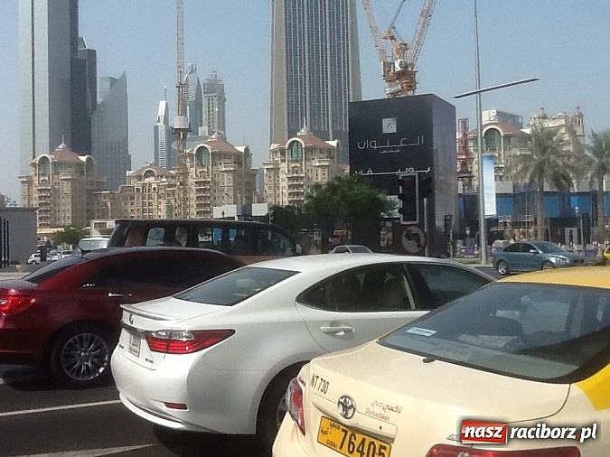 Zdjęcie w galerii na portalu naszraciborz.pl: Pływanie. Tokarski z kolejnym rekordem wiadomości z regionu