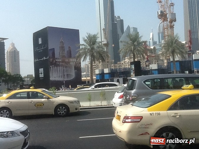 Zdjęcie w galerii na portalu naszraciborz.pl: Pływanie. Tokarski z kolejnym rekordem wiadomości z regionu