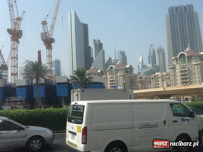 Zdjęcie w galerii na portalu naszraciborz.pl: Pływanie. Tokarski z kolejnym rekordem wiadomości z regionu