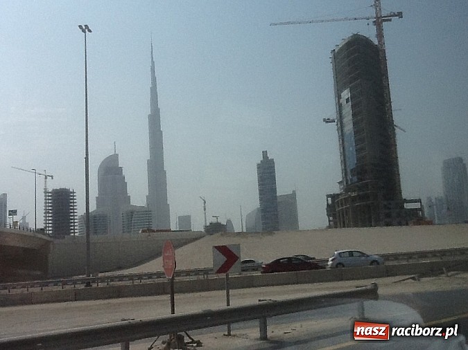 Zdjęcie w galerii na portalu naszraciborz.pl: Pływanie. Tokarski z kolejnym rekordem wiadomości z regionu