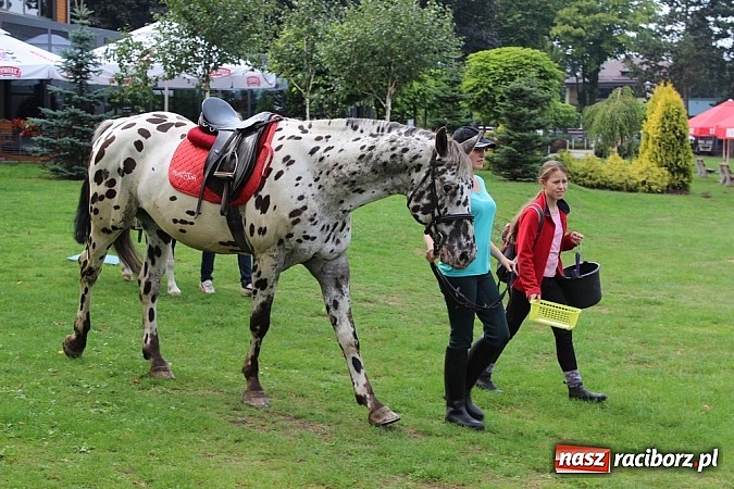 Zdjęcie w galerii na portalu naszraciborz.pl: Festyn rafakowców w Szymocicach wiadomości z regionu