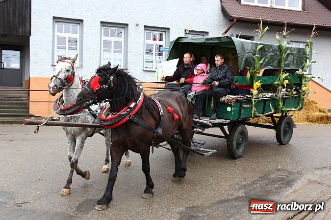 Zdjęcie w galerii na portalu naszraciborz.pl: Święto plonów w Żerdzinach z mażoretkami wiadomości z regionu