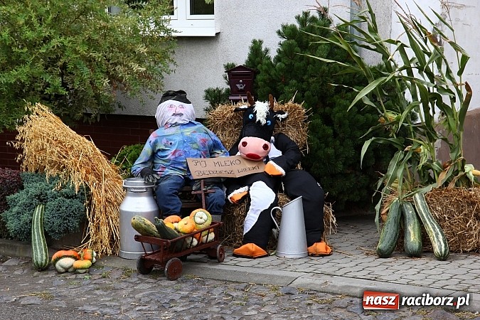 Zdjęcie w galerii na portalu naszraciborz.pl: Święto plonów w Żerdzinach z mażoretkami wiadomości z regionu