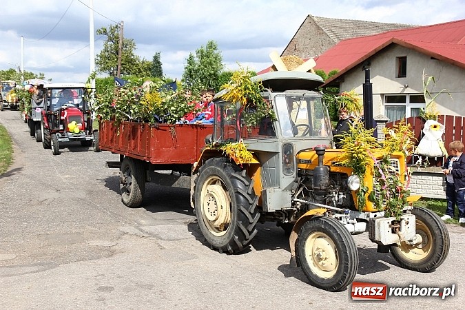 Zdjęcie w galerii na portalu naszraciborz.pl: Tak w gminie Kornowac świętowano dożynki wiadomości z regionu