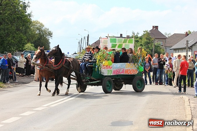 Zdjęcie w galerii na portalu naszraciborz.pl: Tak w gminie Kornowac świętowano dożynki wiadomości z regionu