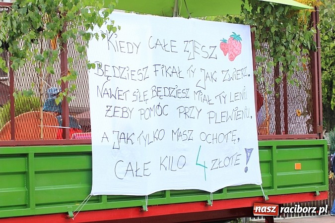 Zdjęcie w galerii na portalu naszraciborz.pl: Tak w gminie Kornowac świętowano dożynki wiadomości z regionu