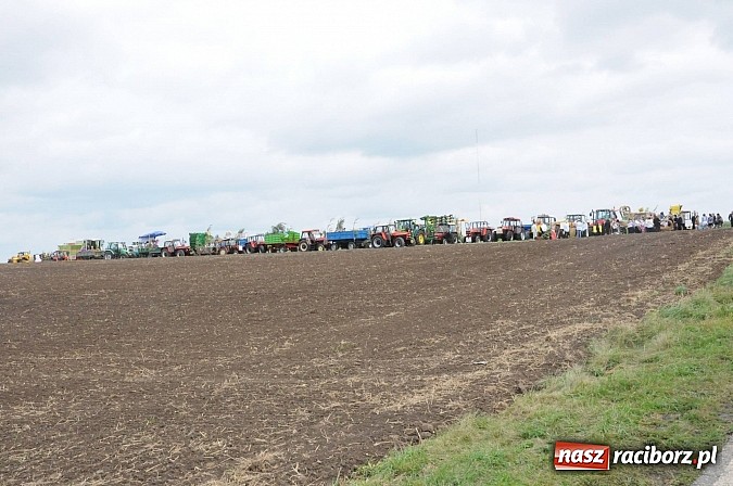 Zdjęcie w galerii na portalu naszraciborz.pl: W Pietraszynie korowód podziwiała cała wieś wiadomości z regionu