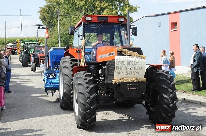 Zdjęcie w galerii na portalu naszraciborz.pl: W Pietraszynie korowód podziwiała cała wieś wiadomości z regionu