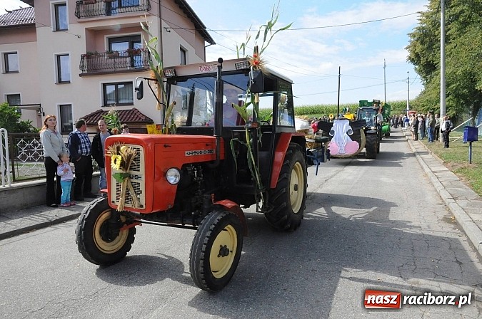 Zdjęcie w galerii na portalu naszraciborz.pl: W Pietraszynie korowód podziwiała cała wieś wiadomości z regionu