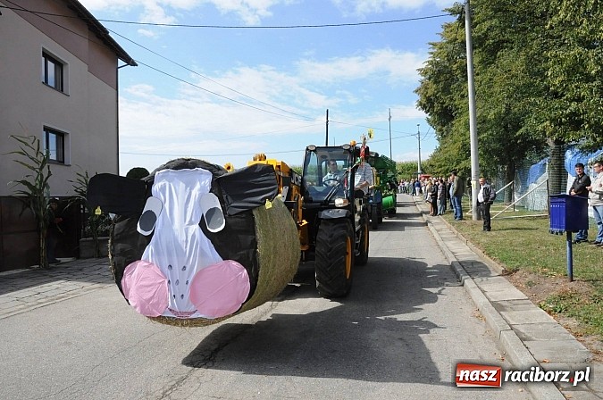 Zdjęcie w galerii na portalu naszraciborz.pl: W Pietraszynie korowód podziwiała cała wieś wiadomości z regionu