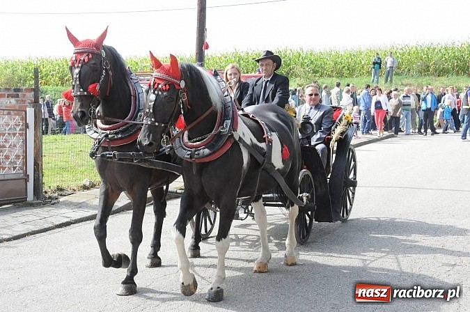 Zdjęcie w galerii na portalu naszraciborz.pl: W Pietraszynie korowód podziwiała cała wieś wiadomości z regionu