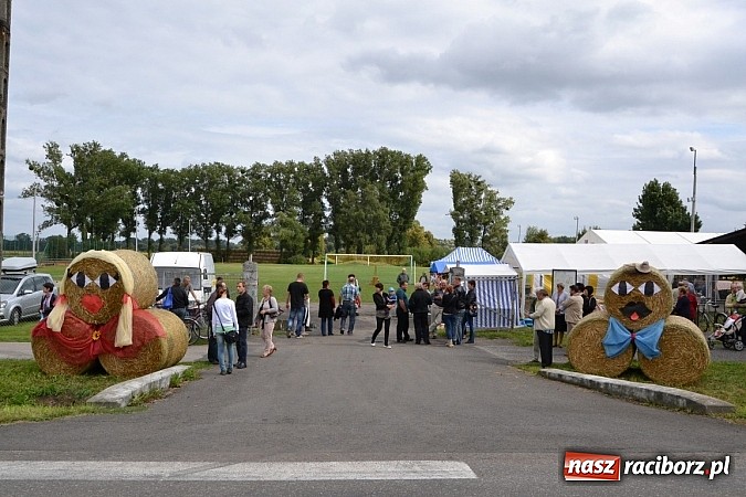 Zdjęcie w galerii na portalu naszraciborz.pl: Zabełków - na znak pokoju wypuścili gołębie wiadomości z regionu