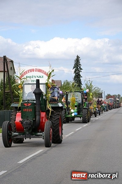 Zdjęcie w galerii na portalu naszraciborz.pl: Zabełków - na znak pokoju wypuścili gołębie wiadomości z regionu