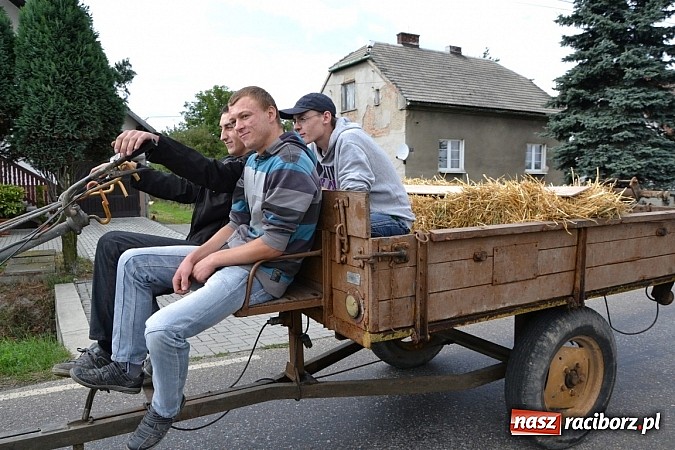 Zdjęcie w galerii na portalu naszraciborz.pl: Zabełków - na znak pokoju wypuścili gołębie wiadomości z regionu