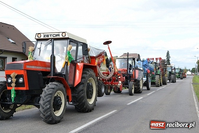 Zdjęcie w galerii na portalu naszraciborz.pl: Zabełków - na znak pokoju wypuścili gołębie wiadomości z regionu
