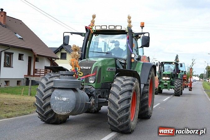 Zdjęcie w galerii na portalu naszraciborz.pl: Zabełków - na znak pokoju wypuścili gołębie wiadomości z regionu