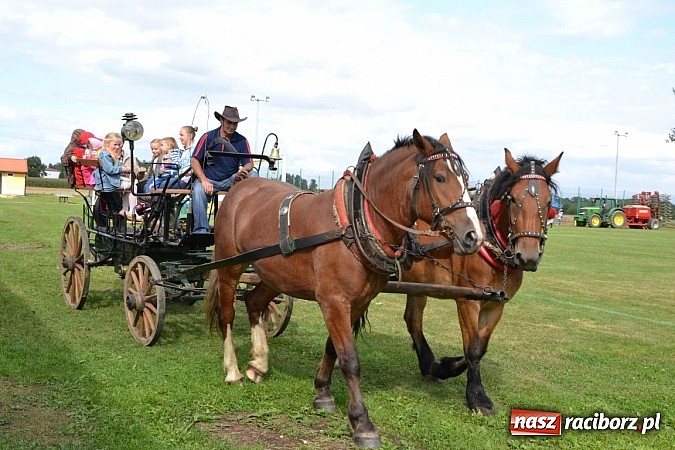 Zdjęcie w galerii na portalu naszraciborz.pl: Zabełków - na znak pokoju wypuścili gołębie wiadomości z regionu