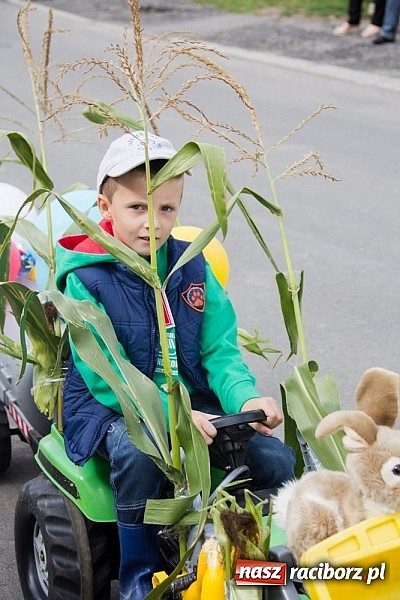 Zdjęcie w galerii na portalu naszraciborz.pl: Dożynki w Rudniku. Od korowodu do festynu wiadomości z regionu