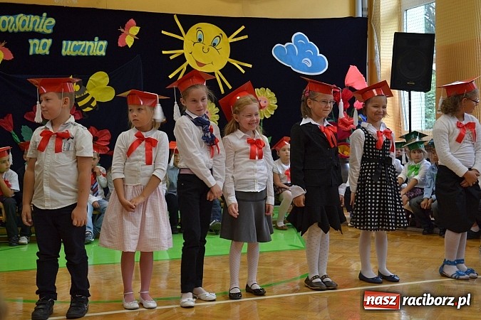 Zdjęcie w galerii na portalu naszraciborz.pl: Pierwszaki z SP 13 już po pasowaniu wiadomości z regionu