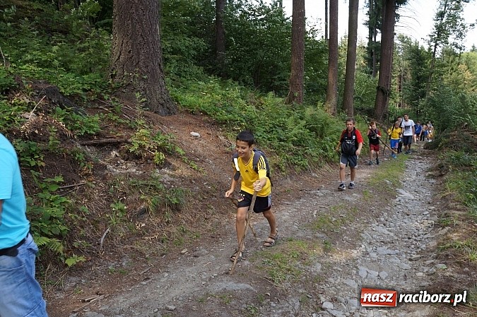 Zdjęcie w galerii na portalu naszraciborz.pl: Obóz Młodych Wilków w Głuchołazach - relacja wiadomości z regionu