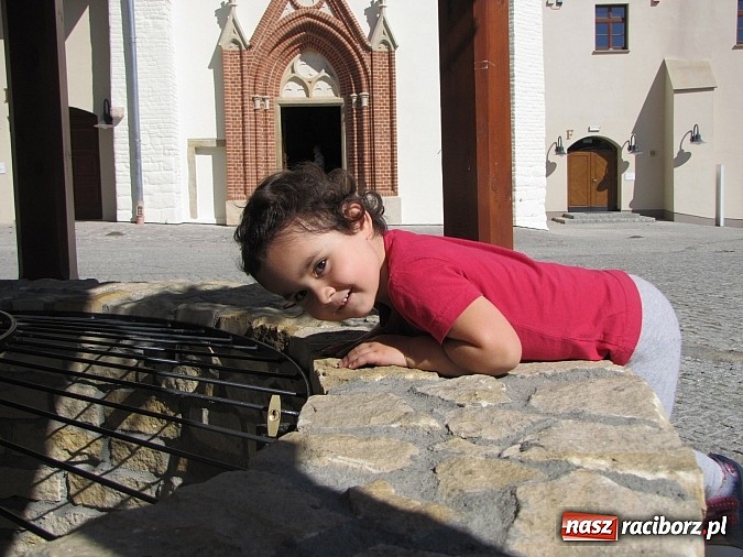 Zdjęcie w galerii na portalu naszraciborz.pl: Narodowe Czytanie Fredry - Zamek Piastowski wiadomości z regionu