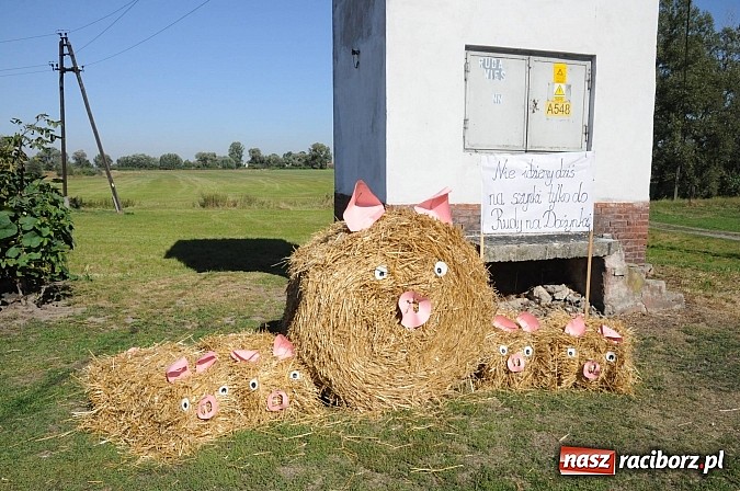 Zdjęcie w galerii na portalu naszraciborz.pl: Dożynki gminne Kuźni Raciborskiej - mała Ruda z wielkim korowodem wiadomości z regionu