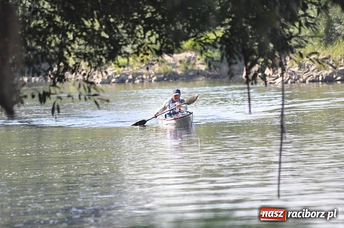 Zdjęcie w galerii na portalu naszraciborz.pl: Siedemdziesiąt kilometrów Odrą z czeskiego Bogumina do Raciborza i Kędzierzyna wiadomości z regionu