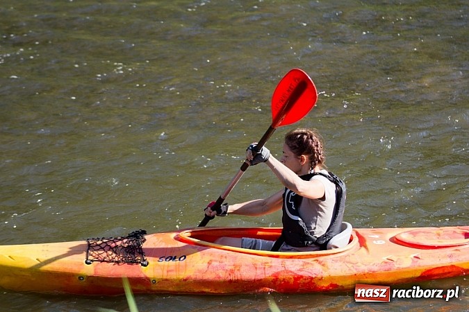 Zdjęcie w galerii na portalu naszraciborz.pl: Siedemdziesiąt kilometrów Odrą z czeskiego Bogumina do Raciborza i Kędzierzyna wiadomości z regionu