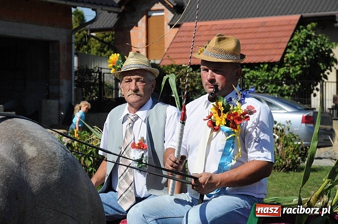 Zdjęcie w galerii na portalu naszraciborz.pl: Dożynki Gminy Krzyżanowice - gigantyczny korowód w Bolesławiu wiadomości z regionu