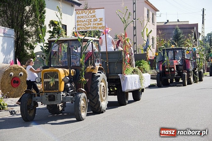 Zdjęcie w galerii na portalu naszraciborz.pl: Morawskie święto plonów w Borucinie wiadomości z regionu