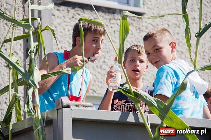 Zdjęcie w galerii na portalu naszraciborz.pl: Morawskie święto plonów w Borucinie wiadomości z regionu