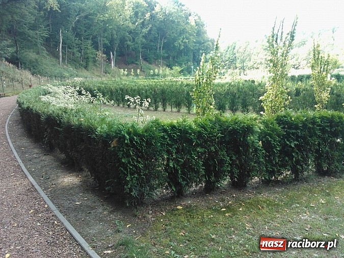 Zdjęcie w galerii na portalu naszraciborz.pl: Zaczarowany Ogród popada w ruinę? wiadomości z regionu