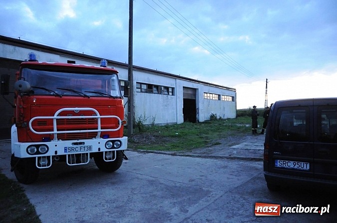 Zdjęcie w galerii na portalu naszraciborz.pl: Bomba ekologiczna w Zabełkowie! Firma z Chybia zwiozła tu setki beczek z chemikaliami wiadomości z regionu